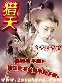 猎天使魔女2有PC版吗