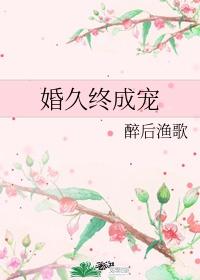 婚久终成宠晋江文学城