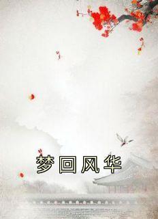 梦回风华大明96集