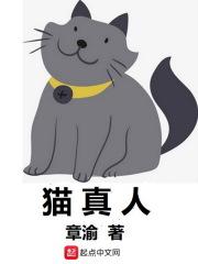 猫真人情头