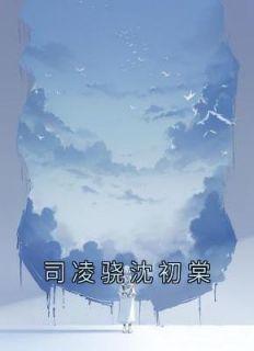 凌司夜沈