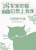 将军家的男后