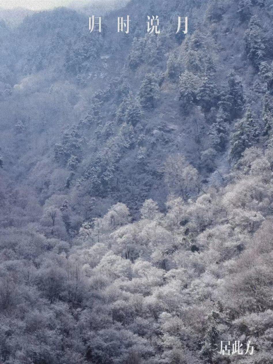 归时常对空山月什么意思