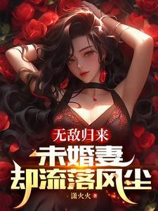 未婚妻归来