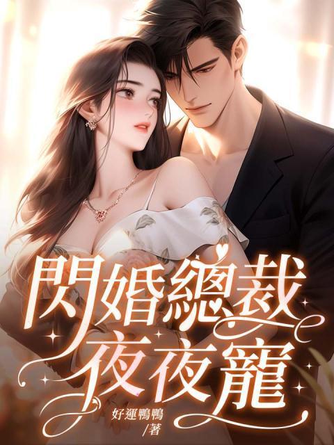 闪婚总裁夜夜宠TXT