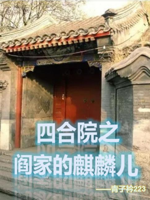 四合院从成为阎解成开始