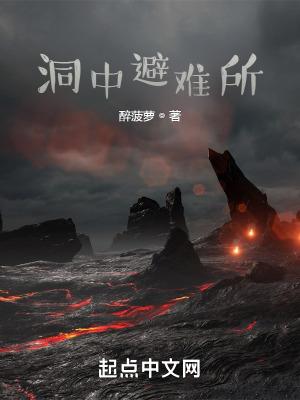 洞中避难所无错版