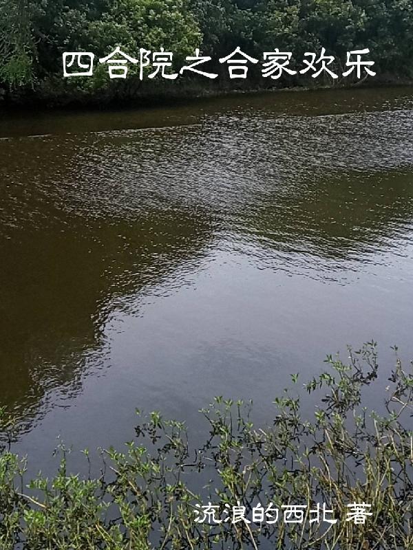 四合院之合家欢乐免费阅读