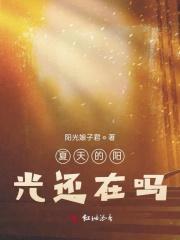 夏天的阳光音乐教案反思