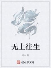 无上往生经