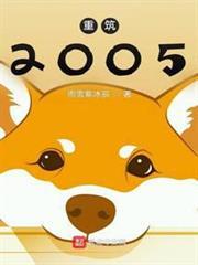 重筑2005有加料版本嘛