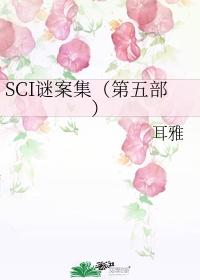 SCI谜案集第五部txt