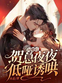 贺总的闪婚暖妻