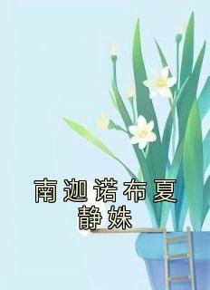 南迦诺布夏静姝名字