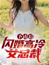 下山后闪婚高冷女总裁叶凌天免费TXT