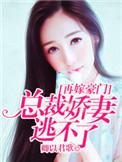 再嫁总裁二婚新妻