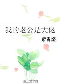 我的老公是大佬 紫青悠TXT