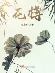 花樽与花歌词解析