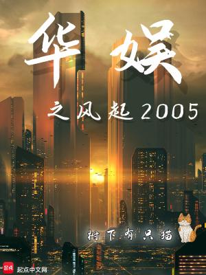 华娱之风起2005笔趣阁TXT