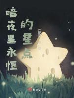 暗夜里永恒的星点是什么歌