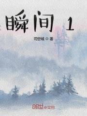 瞬间1.3什么意思