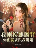 美女师傅秦枫柳明月免费阅读