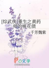 综影视黄药师的桃花债