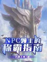 npc领主