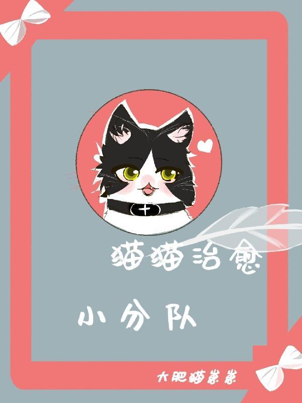 治愈猫猫游戏